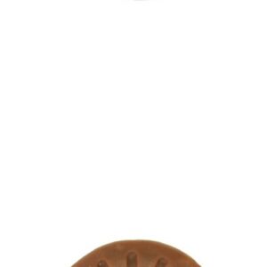 Starmark Everlasting Treat Barbeque Small 1ea/1.2 oz, SM