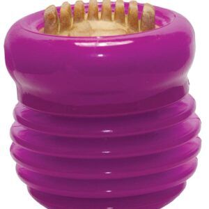 Starmark Groovy Ball with USA Made Treat Purple, 1ea/LG